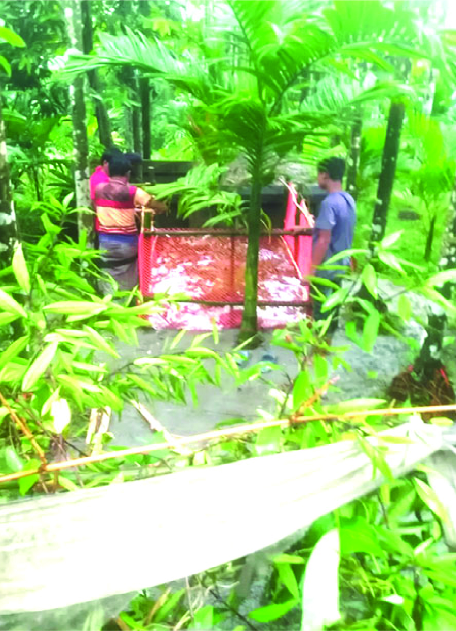 Image of আলাউদ্দিন 